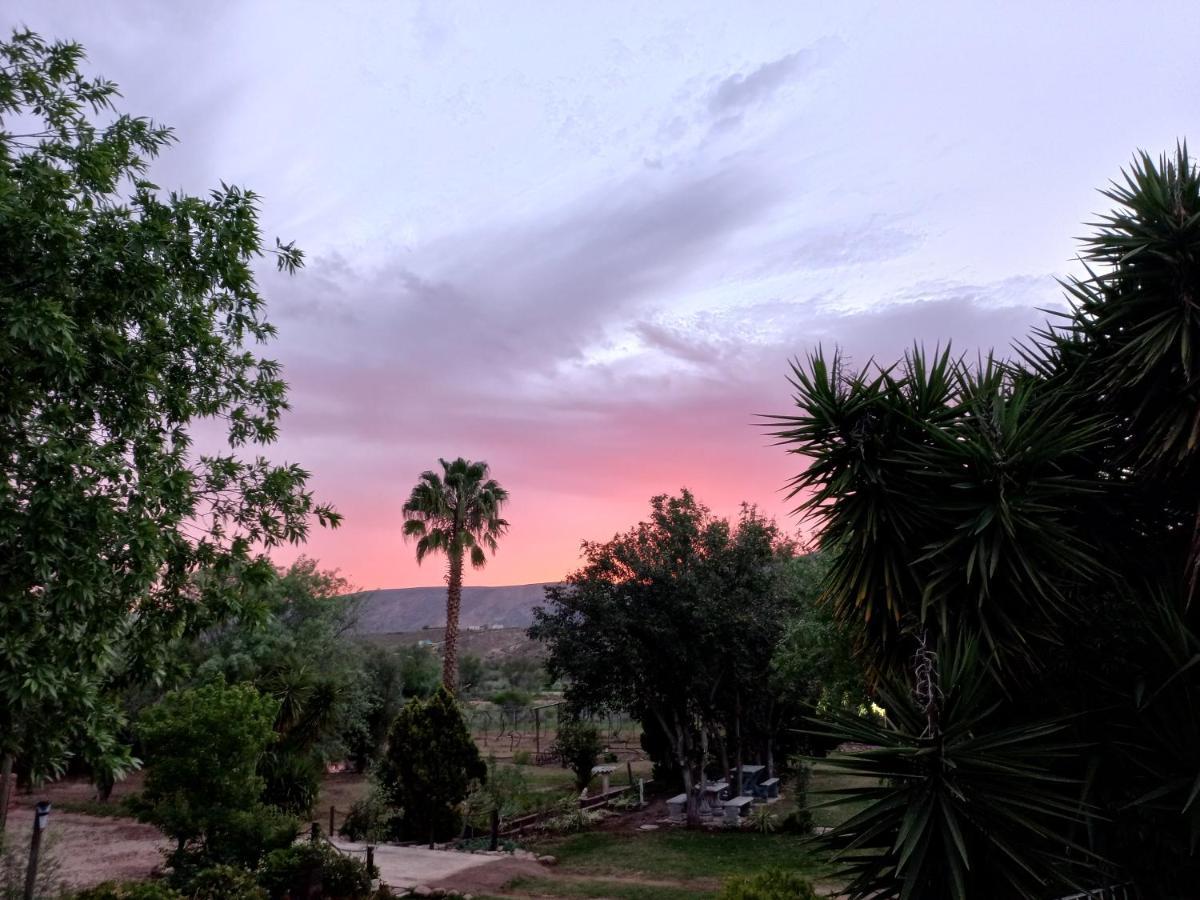 Karoo Life B&B Calitzdorp Kültér fotó