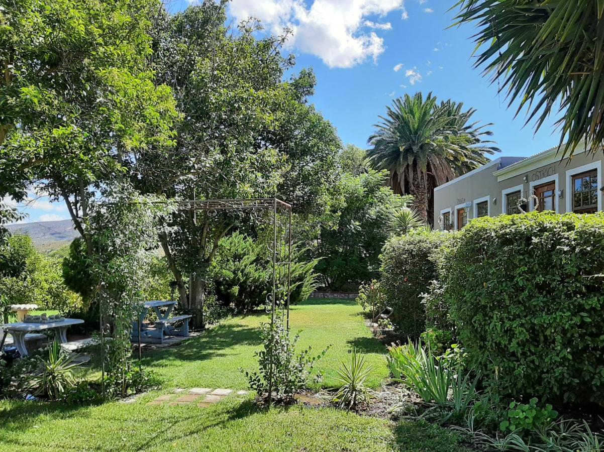 Karoo Life B&B Calitzdorp Kültér fotó