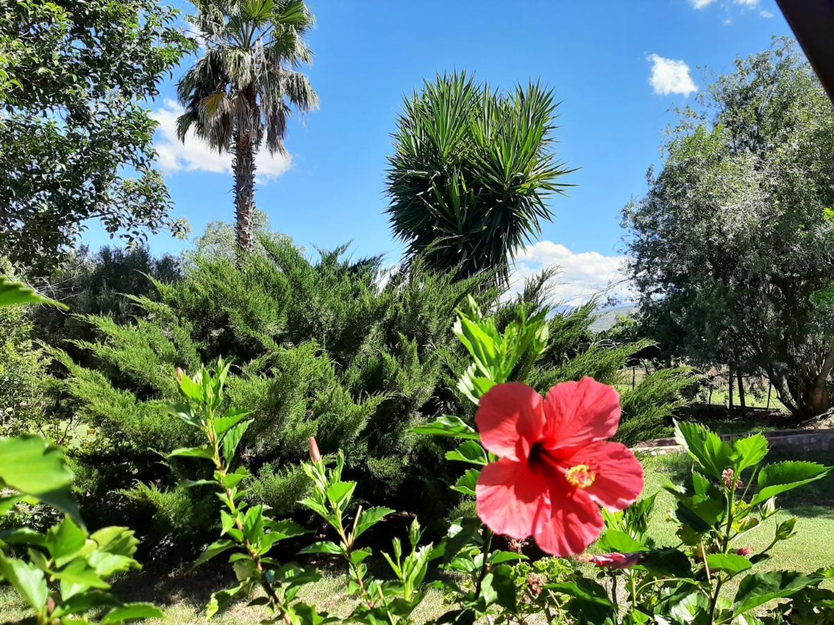 Karoo Life B&B Calitzdorp Kültér fotó