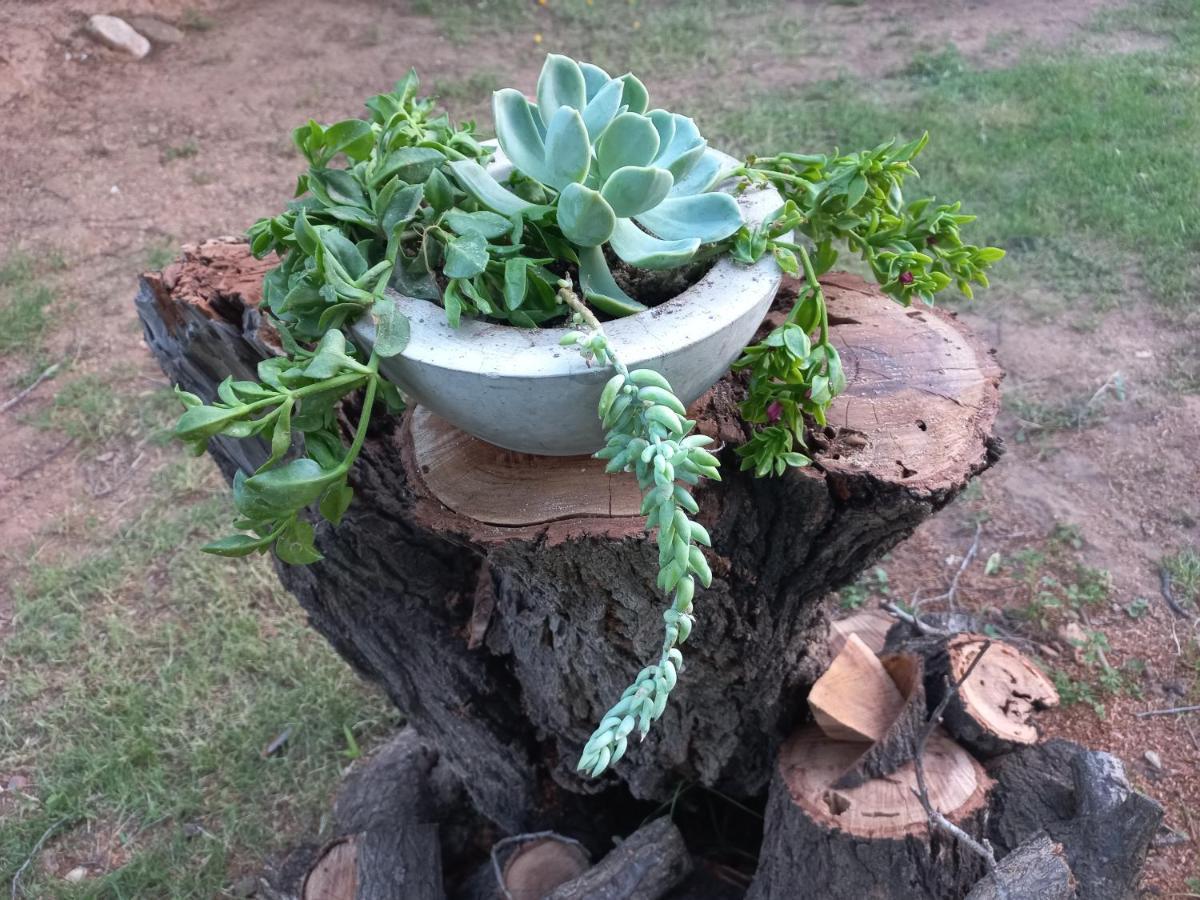Karoo Life B&B Calitzdorp Kültér fotó